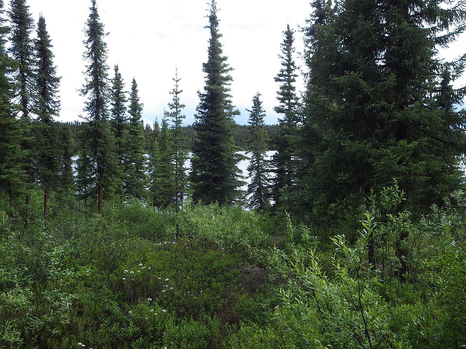 2nd image of L3b Susitna Lake