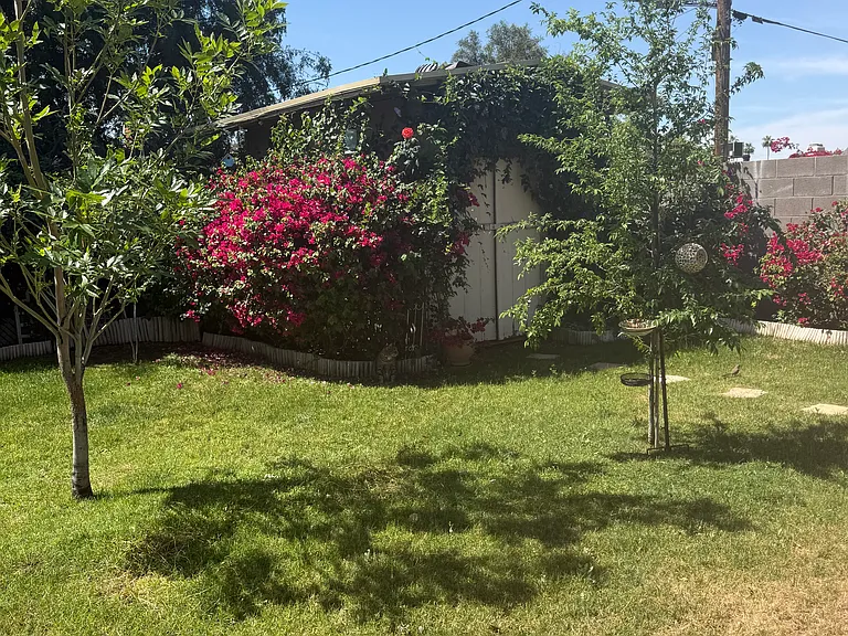 817 W Indianola Ave — Photo 11