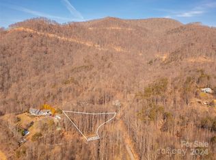 9999 Lovebird Ln #1, Candler, NC 28715