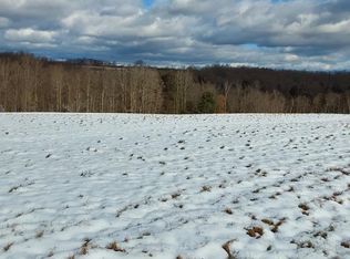 0 Starr Rd LOT 3, Campbell, NY 14821
