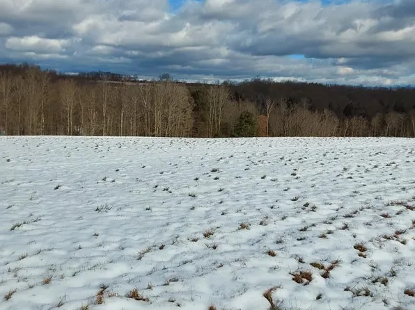 0 Starr Rd Lot 3, Campbell, NY 14821