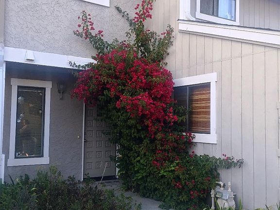 2nd image of 3360 Houts Dr APT C