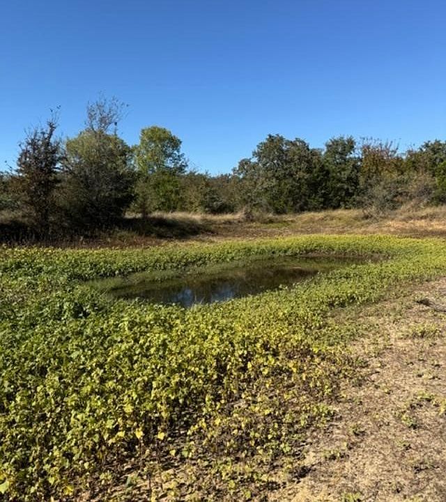 1st image of 0 S Highway 281