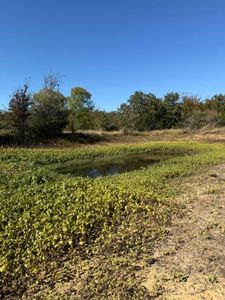 0 S Highway 281, Mineral Wells, TX, 76067