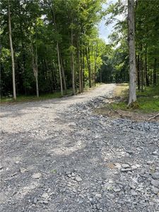 0 McNamar Rd #41, Elba, NY, 14058