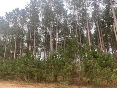 1389 Sawgrass Drive #132, Nekoosa, WI, 54457