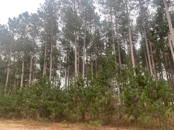 1389 Sawgrass Drive #132, Nekoosa, WI 54457