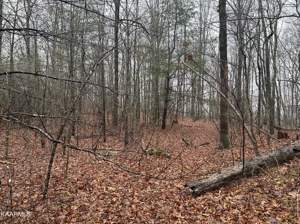 Woodland Trl, Sunbright, TN 37872