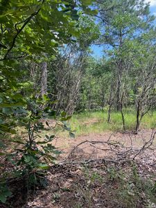 (Undisclosed Address), Shirley, AR, 72153