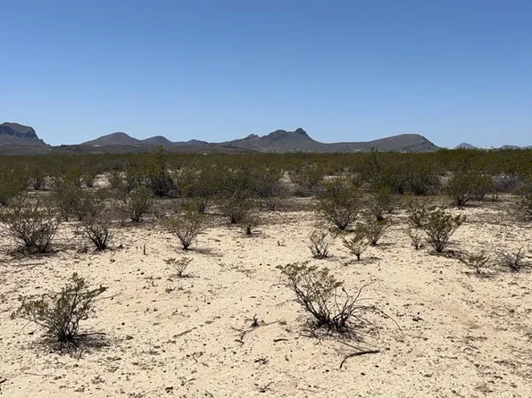 4500 Diamond Back Rd, Terlingua, TX 79852