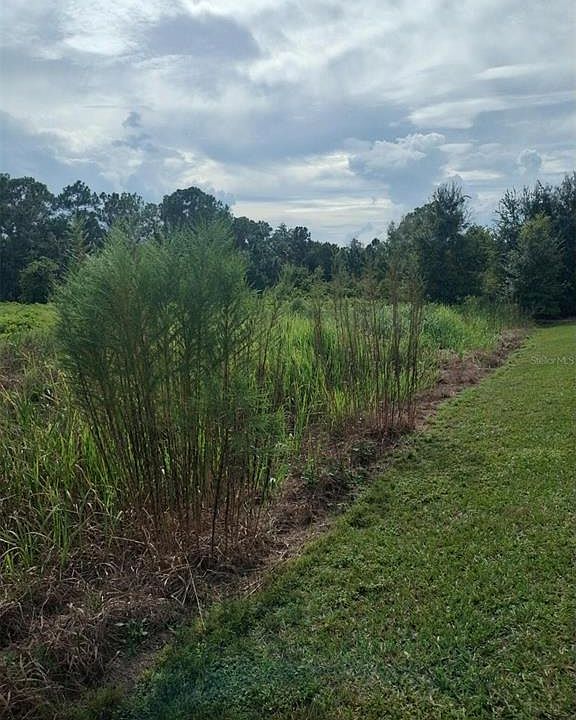 1st image of 2900 W SHULA ROAD LOT 6