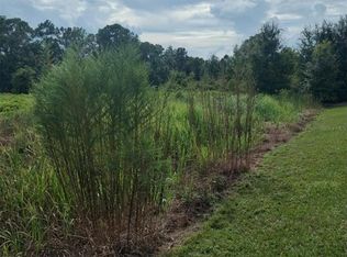 2900 W SHULA ROAD LOT 6, AVON PARK, FL 33825