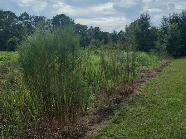 2900 W SHULA ROAD LOT 6, AVON PARK, FL 33825