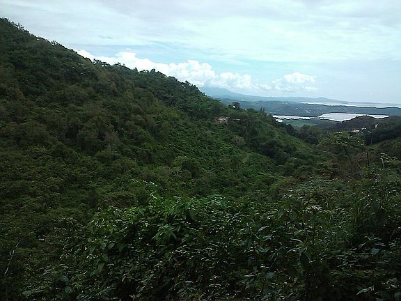 5th image of Bo Camino Nuevo Rd 901 Kl 7.2