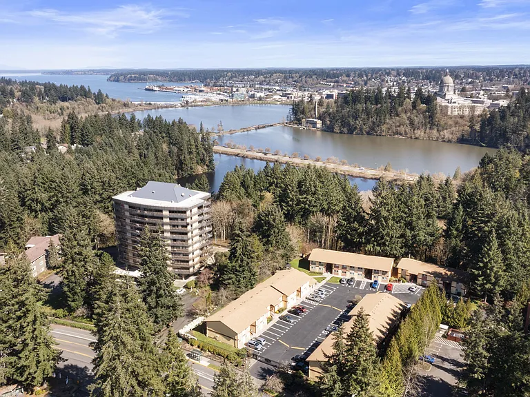 Drone View of Capitol Lake