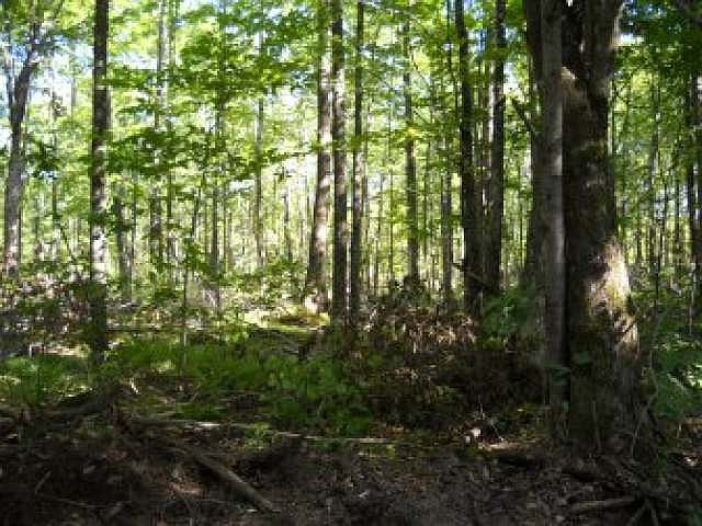 2nd image of On Deer Trail Acres Ln