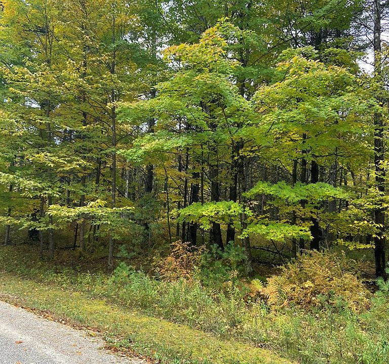 2nd image of LOT 7 Thimbleberry Ln
