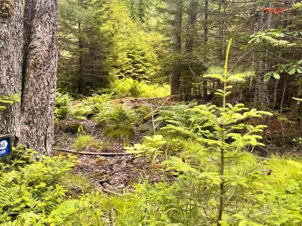 22A Pierce Pond Road, Penobscot, ME 04476