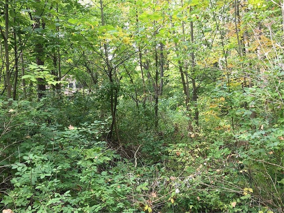 2nd image of 7218 Ellicott Rd