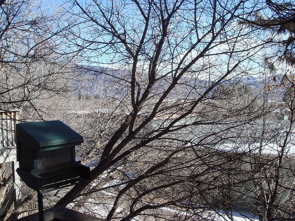 View from Living Room