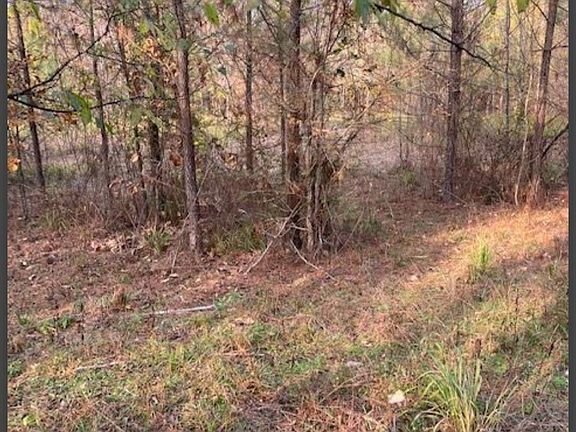 3rd image of 1 Hidden Pines Loop