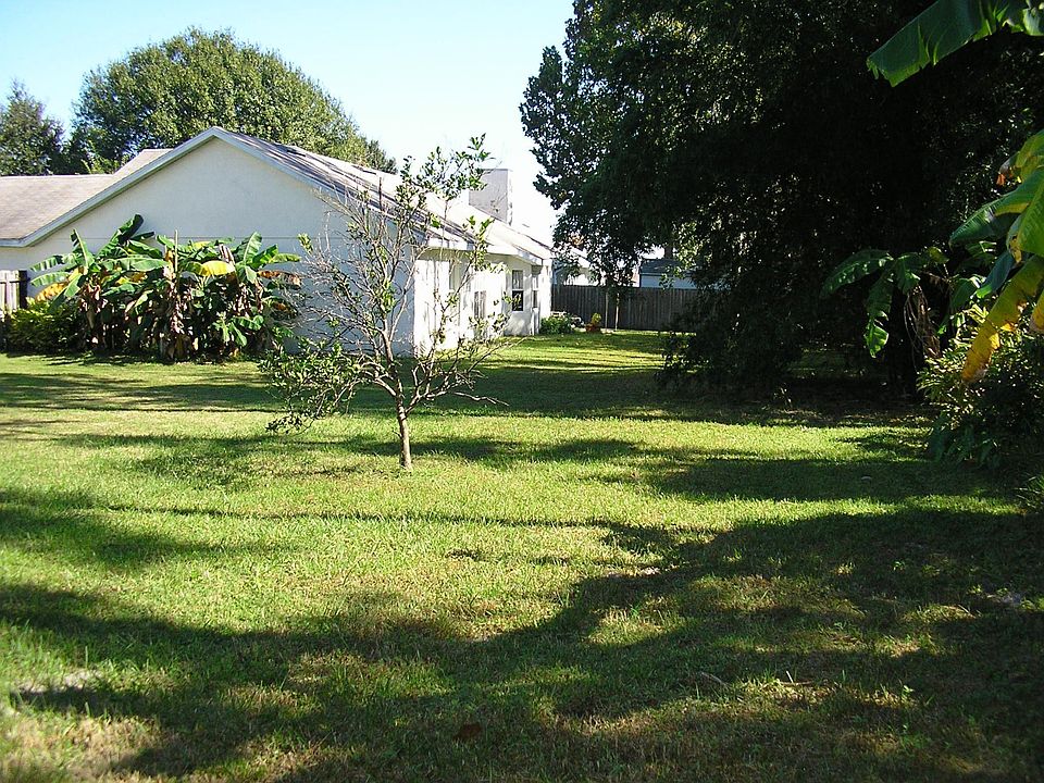 Banana Trees Too!