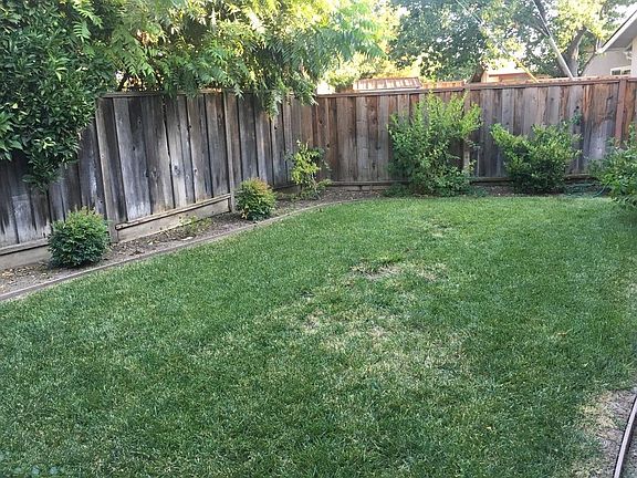 Side Yard