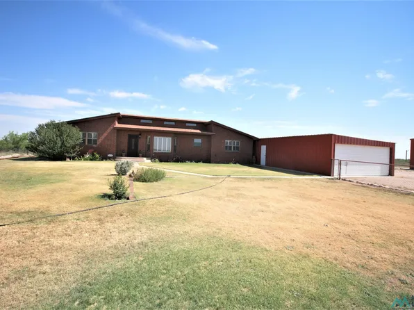 63 E Dickens Rd, Lovington, NM 88260