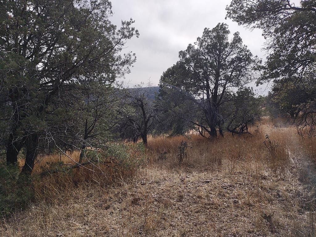 103 Tejano Trl, Fort Davis, TX 79734 MLS 137823 Zillow