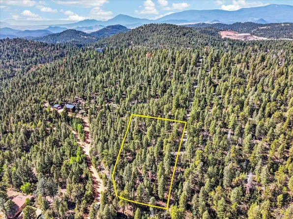 12907 S Cindy Ave, Pine, CO 80470