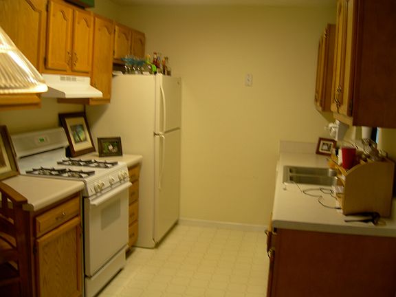 Kitchen with gas stovetop