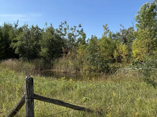 Salina Rd, Lachine, MI 49753