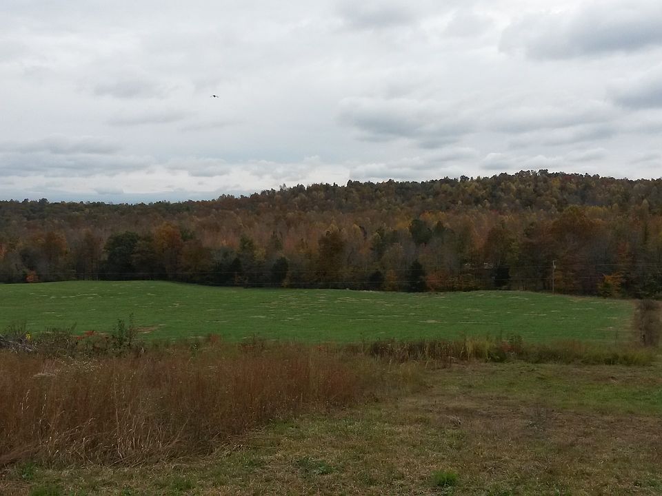 Property begins at tree line