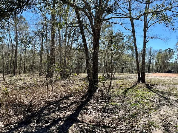 0 Riverview Pointe Drive, Theodore, AL 36582