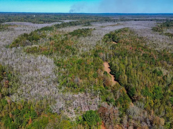 0 Highway 14 E, Selma, AL 36701