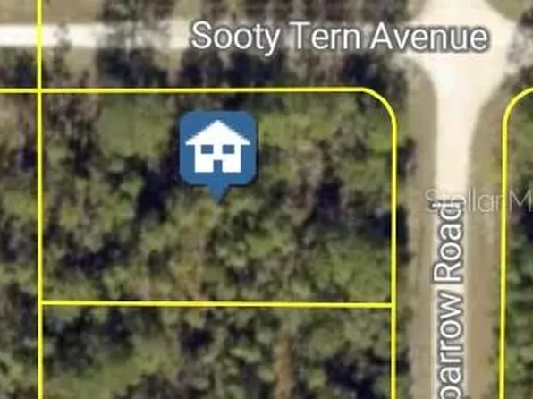 Sooty Tern Ave Lot 1, Brooksville, FL 34614