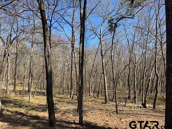 3rd image of 0 An County Rd #319