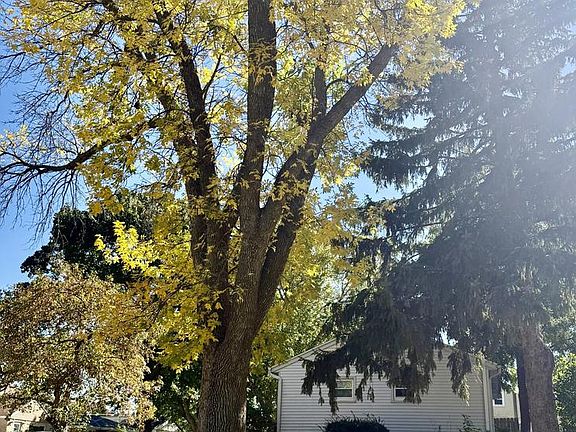 3rd image of 2507 S 94th STREET