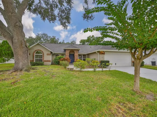 7412 Mint Julep Dr, Riverview, FL 33578