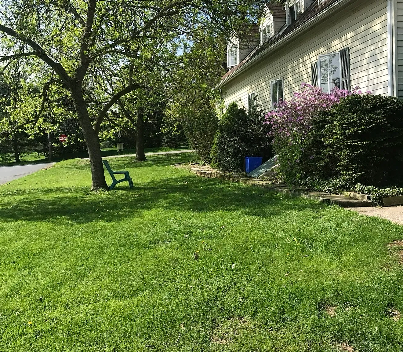 1 bed, 650 sqft, $1,095 — Photo 2