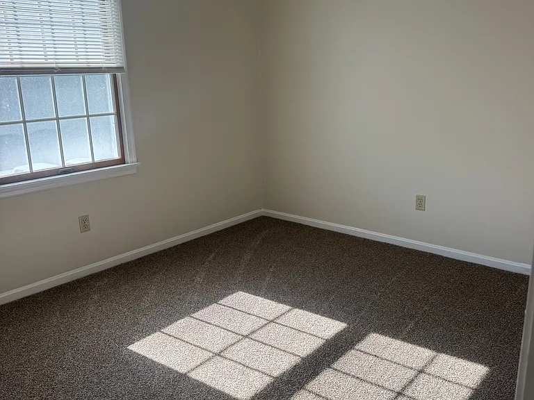 1017 Baccharis Dr — Photo 24