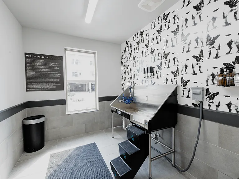 On-Site Pet Spa with Stainless Steel Wash Station and Hose