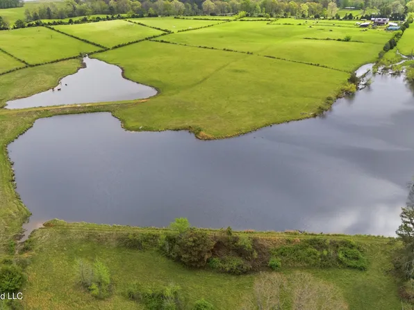 131 Laws Hill Rd, Holly Springs, MS 38635