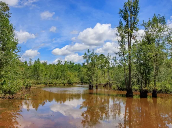 Xx2 Richland Rd, Cuthbert, GA 39840