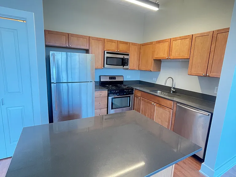 2000 N Milwaukee Ave #301 — Photo 4