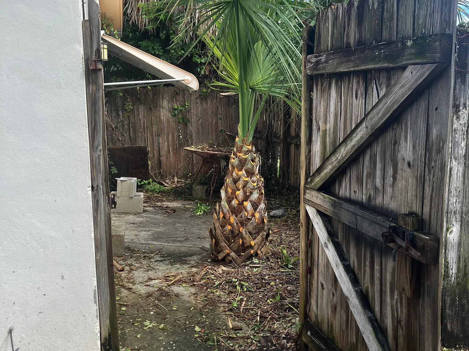 N M St, Lake Worth — Photo 2