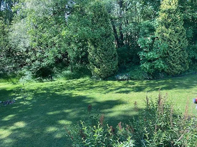 1456 Brimfield Dr — Photo 4