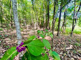 County Road 7482, Baldwyn, MS 38824