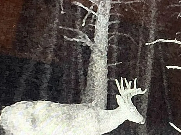 277 Black Oak Dr, Moorefield, WV 26836