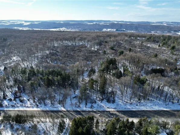 0 Route 92 #2, Cazenovia, NY 13035